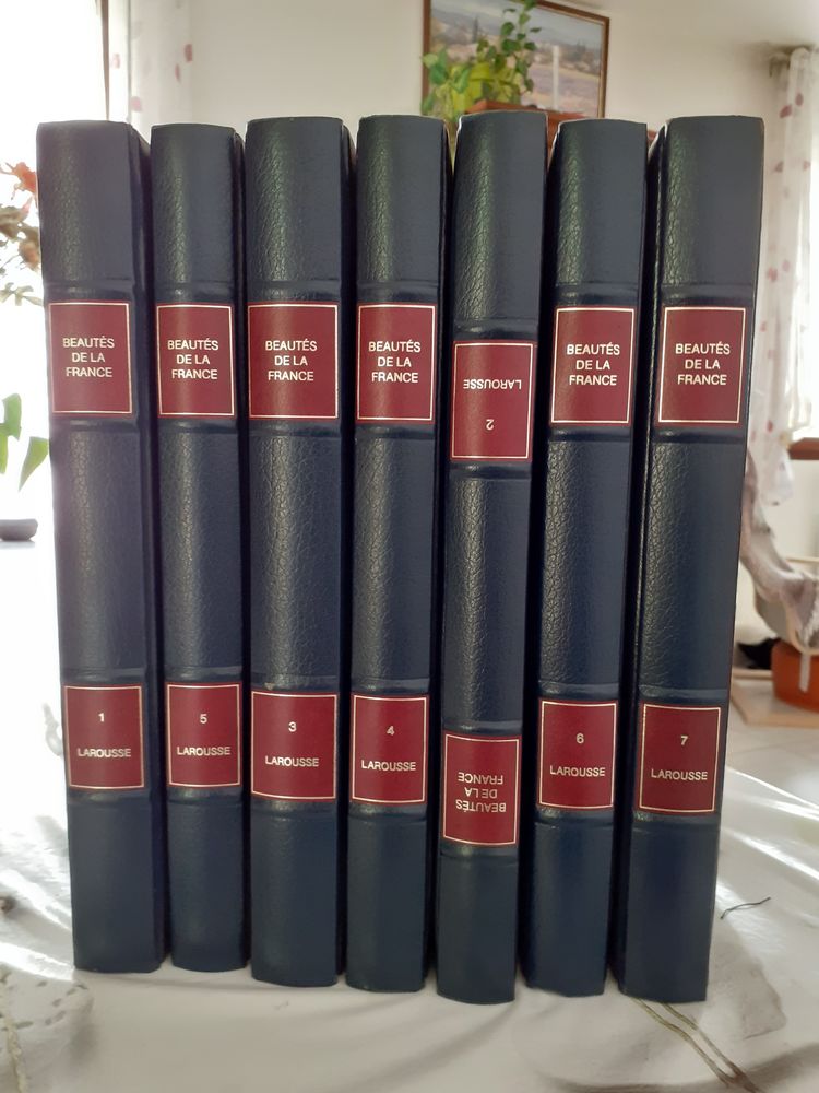 7 livres beaut�s de la france 15 Joinville (52)