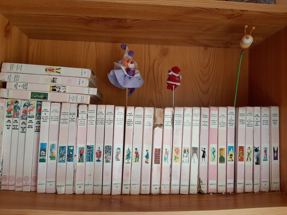 LIVRES BIBLIOTHEQUE ROSE 20 Saint-Jean-de-Verges (09)