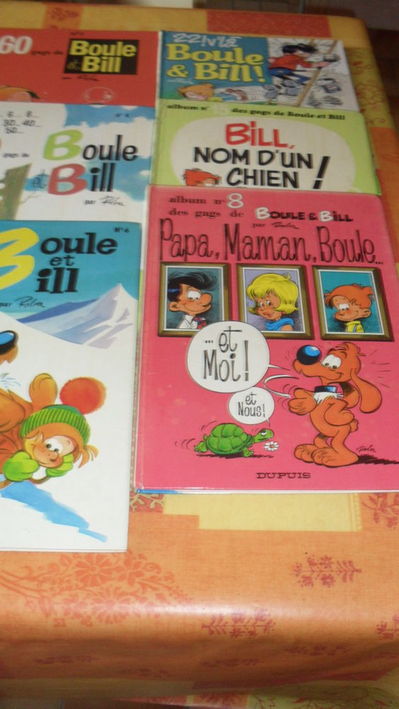 6 livres Boull et bill 10 Pl�rin (22)