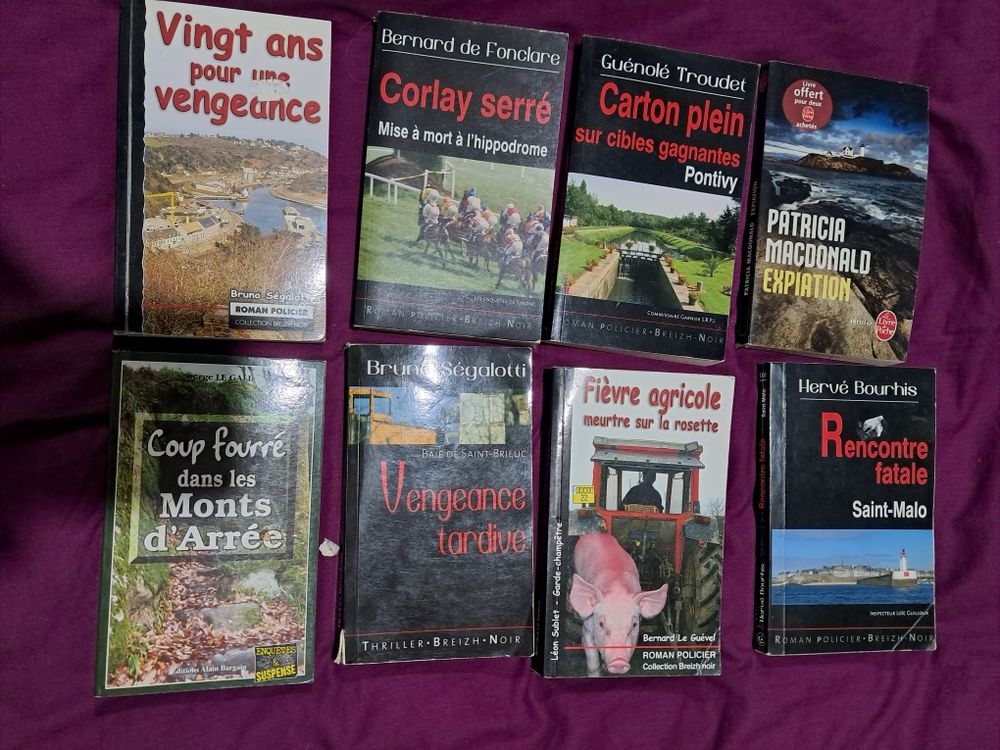 Livres breizh noir �nigmes polici�res en Bretagne 6 Loud�ac (22)