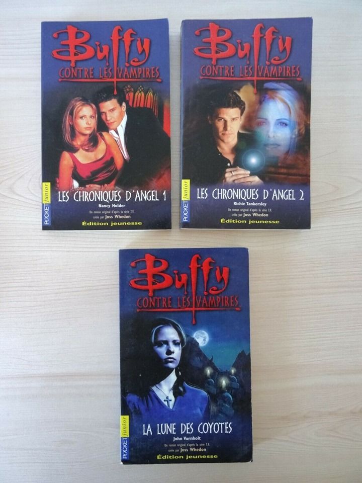 Livres,Buffy Contre Les Vampires,Chroniques d'Angel,roman 5 Saint-Ambroix (30)