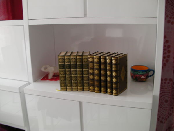 LIVRES  CAUSES CELEBRES  30 Saint-Etienne (42)