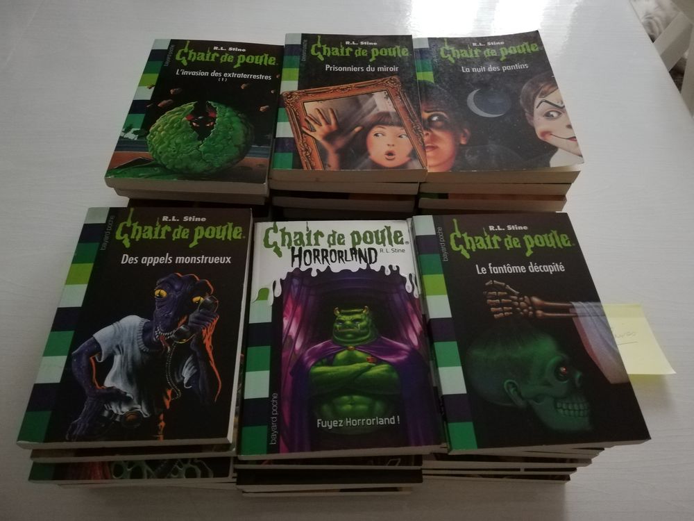 Livres  Chair de poule 20 Castelnau-le-Lez (34)