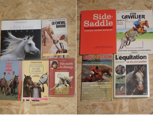 Livres sur les chevaux et l'�quitation 5 Cheminas (07)