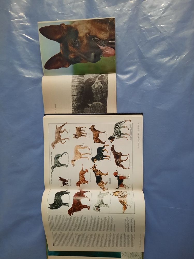 2 livres : le chien BERGER ALLEMAND et autres espèces  14 Villecresnes (94)