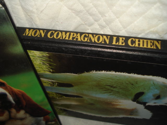 livres sur les chiens 10 Saint-Aubin-le-Cloud (79)