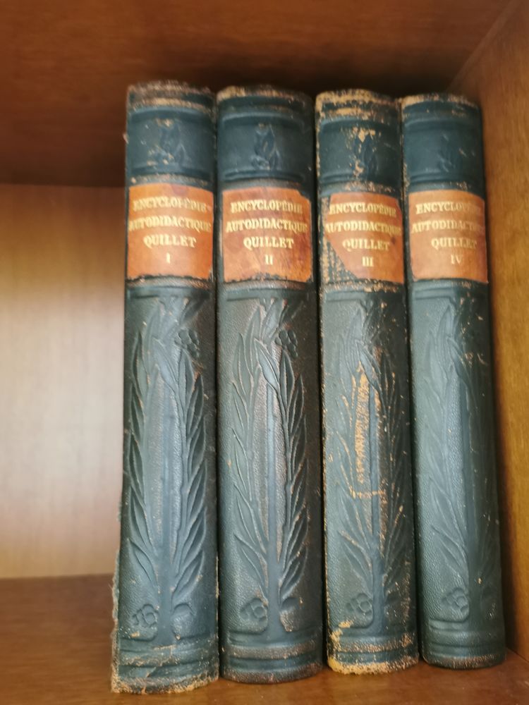 Livres de collection  50 San-Martino-di-Lota (20)