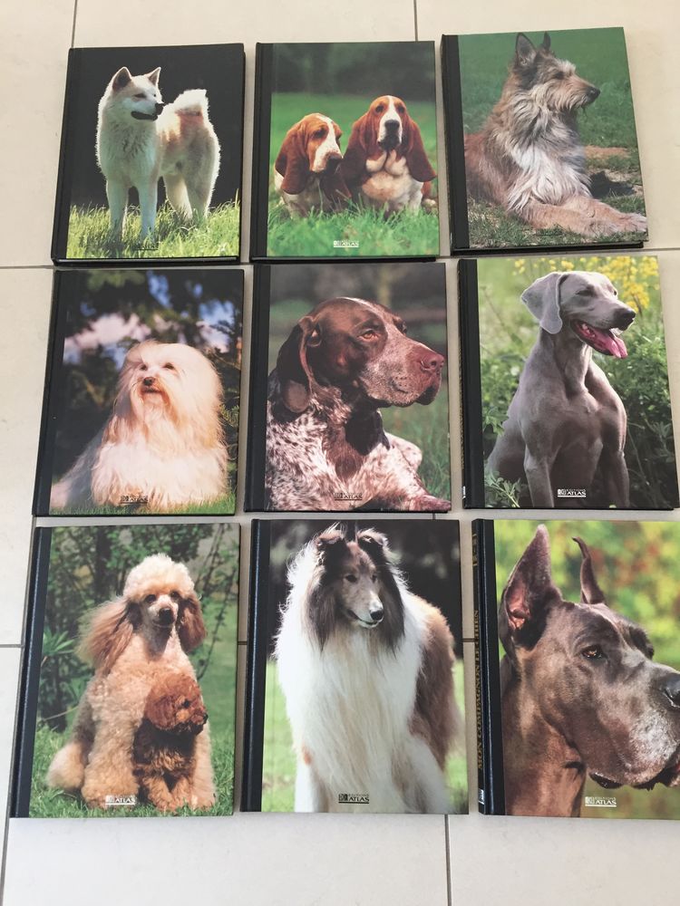 Livres   MON COMPAGNON LE CHIEN  20 Le Mans (72)