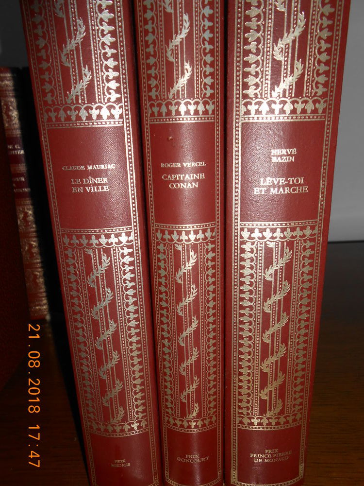 3 livres couverture en ska� en excellent �tat 6 Marck (62)