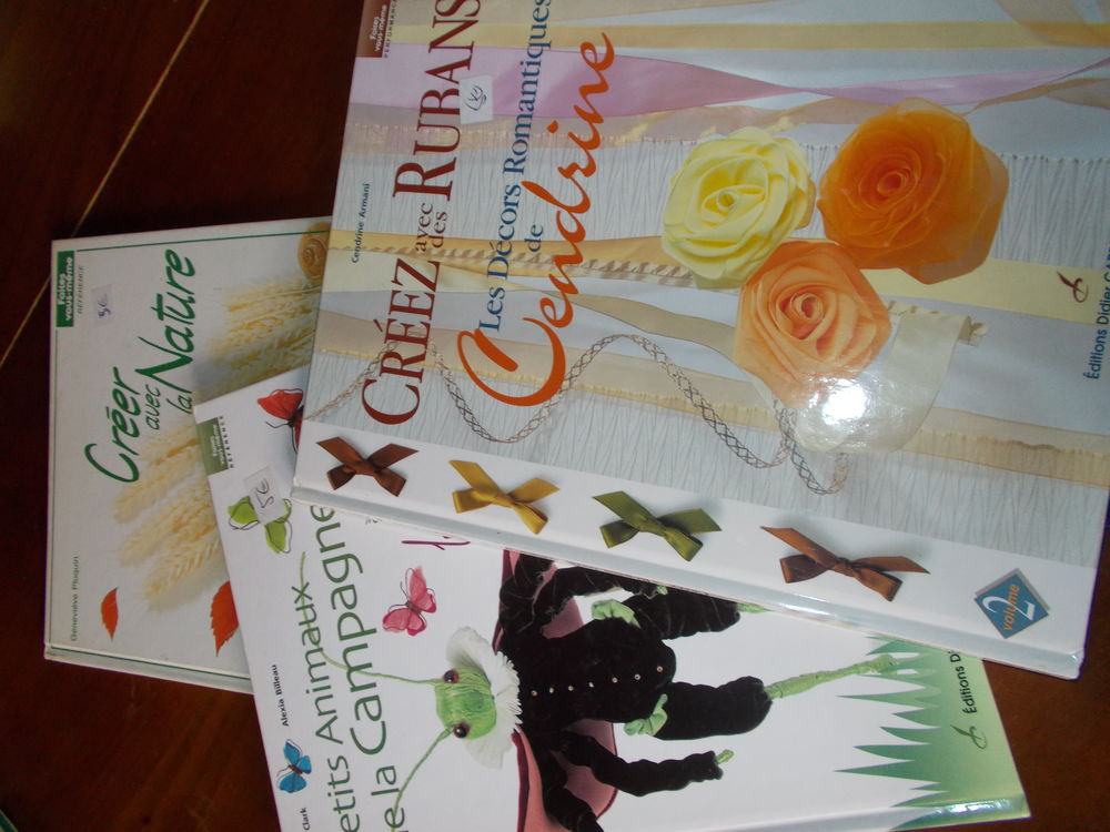 3 livres  Creez avec... prix en baisse 12 Chissey-en-Morvan (71)