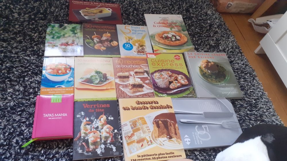 lot de 14 livres de cuisine 5 La Mulati�re (69)