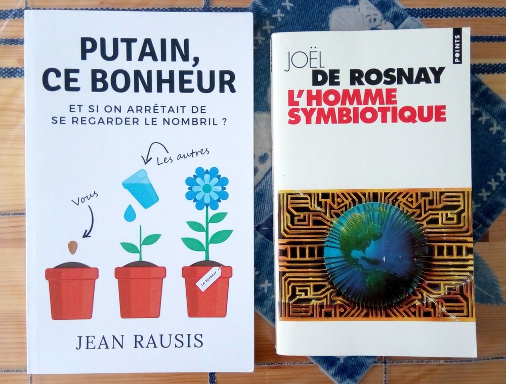 Livres d�veloppement personnel - �sot�risme - psycho/socio 2 Grenoble (38)