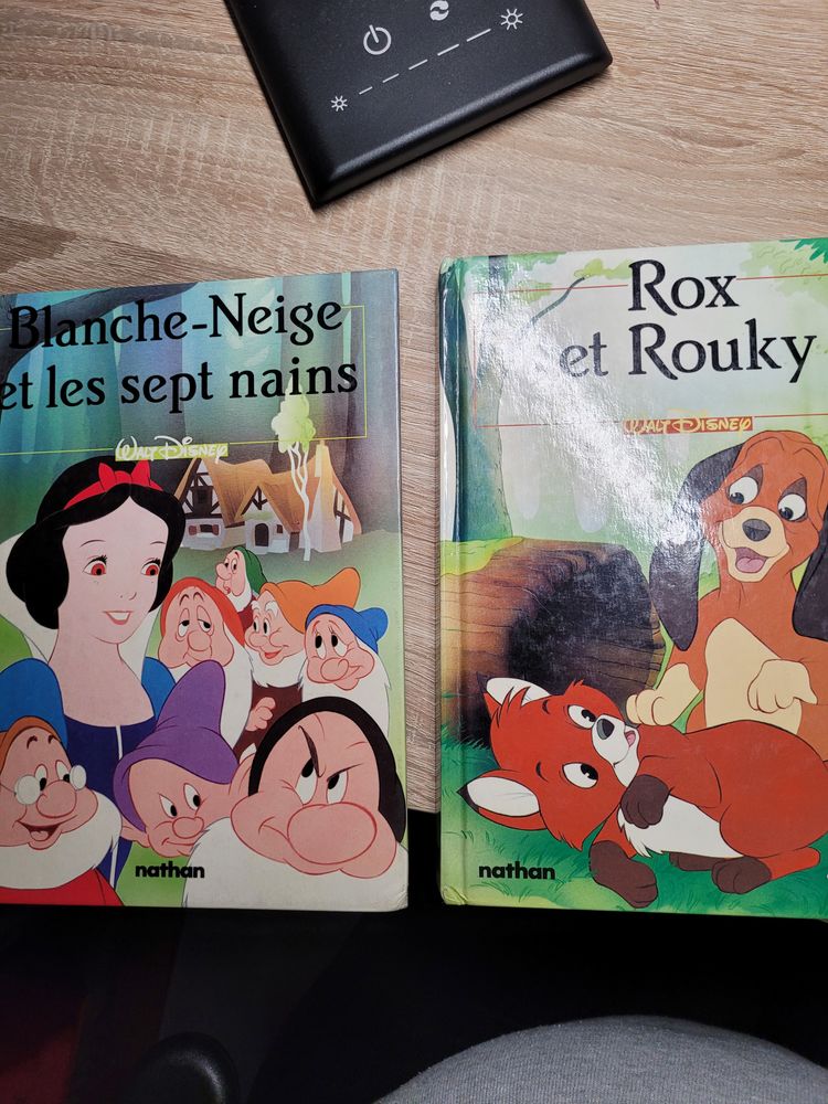 2 livres Disney  Classique 10 Haillicourt (62)