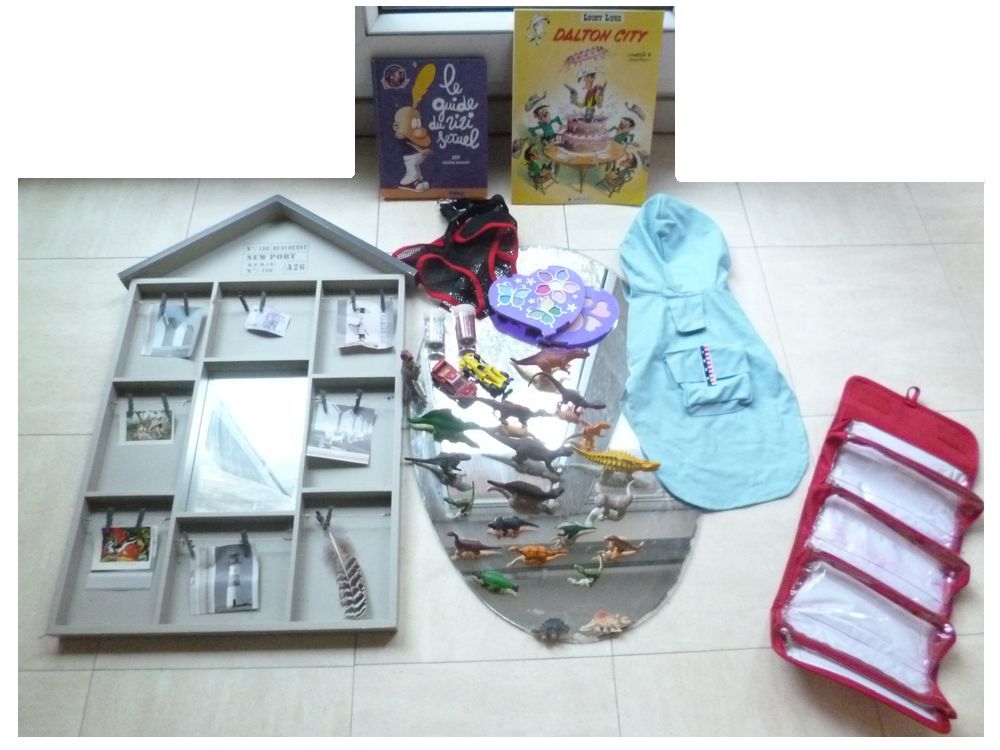 livres DISNEY, jeux , jouets etc ... 2 Martigues (13)