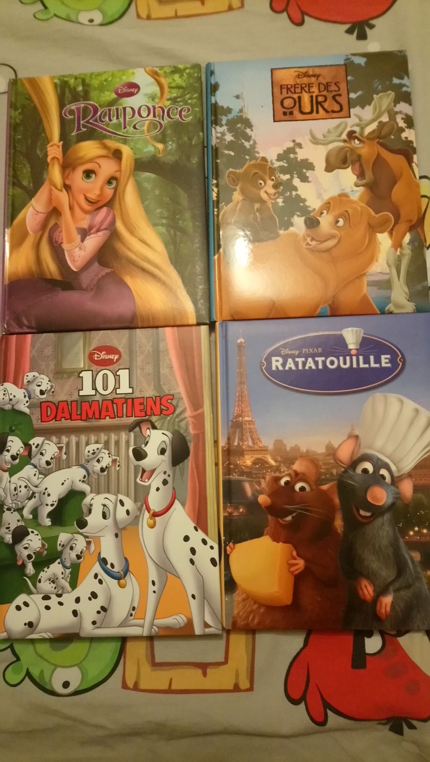 Des livres Disney 30 Grenoble (38)