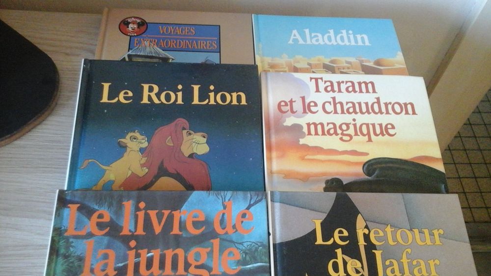  LIVRES DISNEY 30 La Rochelle (17)
