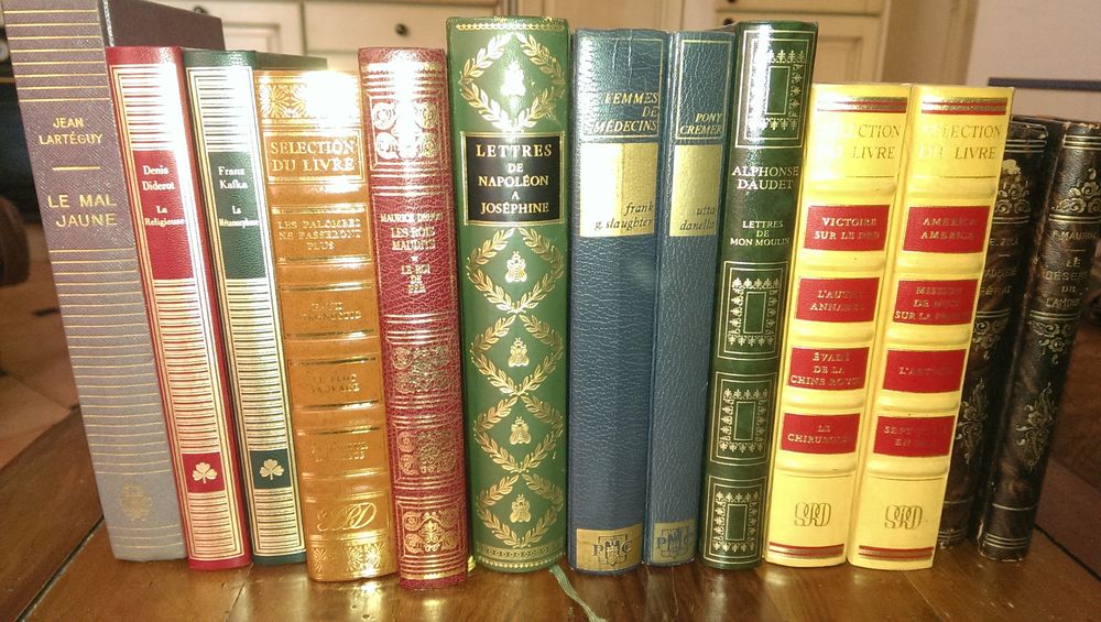 lot de livres divers 50 Le Cannet (06)