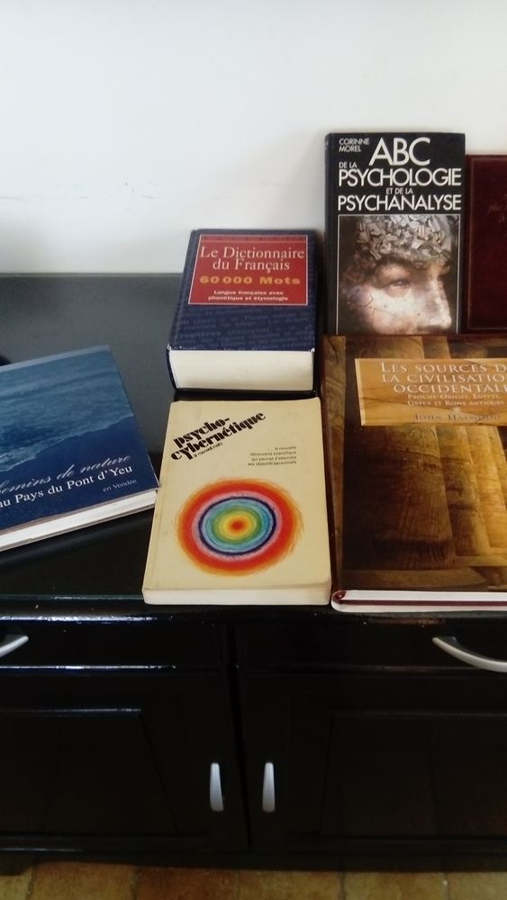 Livres divers 0 Chermignac (17)