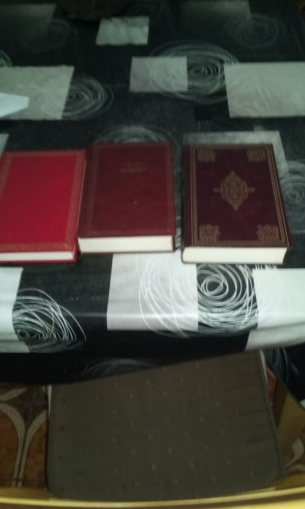 de livres divers 30 Lamagist�re (82)