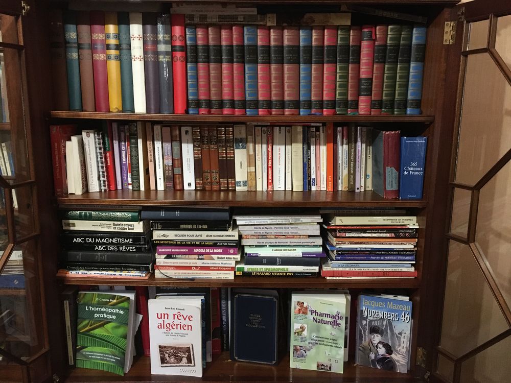 Lot de livres divers 1 Saint-Ferr�ol-Trente-Pas (26)