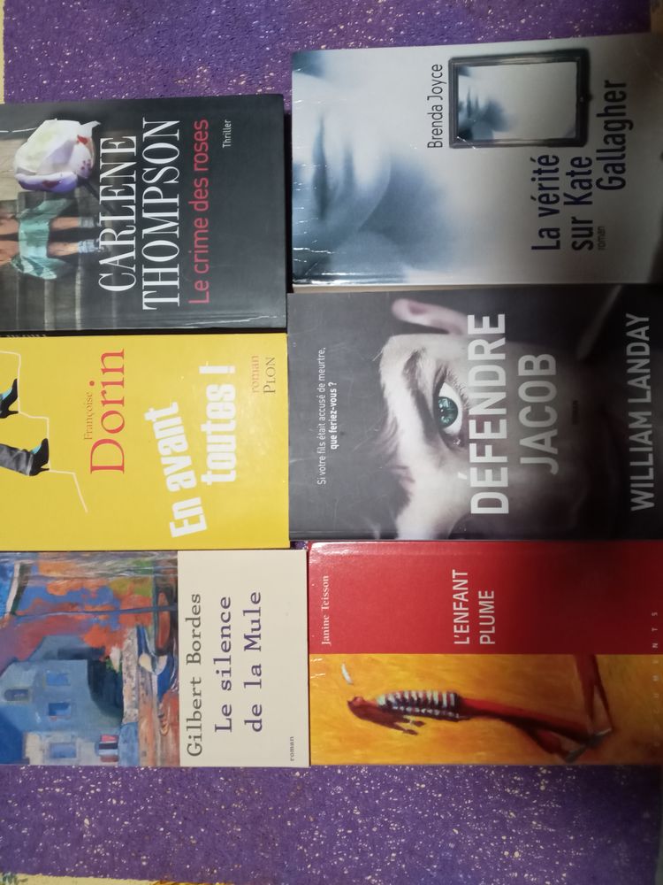 LIVRES DIVERS 0 Virieu-le-Grand (01)