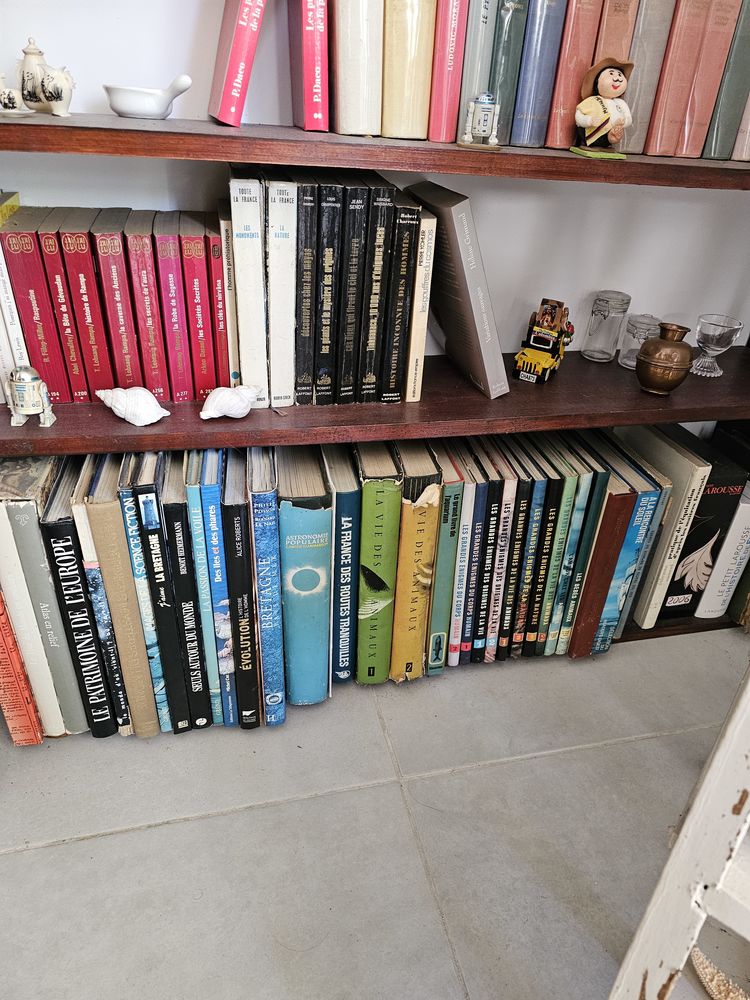 livres divers 0 Six-Fours-les-Plages (83)