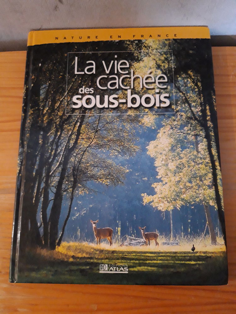 Livres documentaires  10 Saint-Chamond (42)