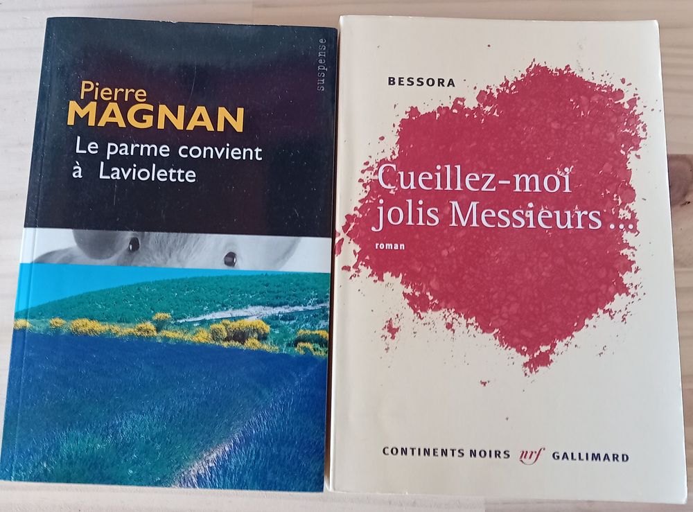 2 Livres d'Ecrivains  P.Magnan et N.Bessora   3 Saint-Dizier (52)