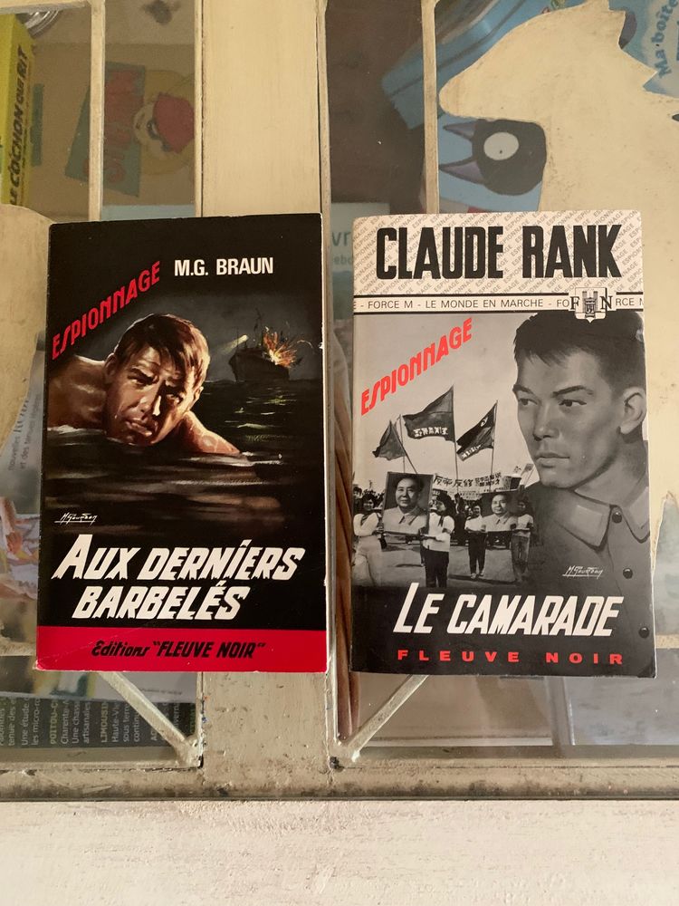 lot de 650 livres �ditions  FLEUVE NOIR  t 1.5 Sainte-Verge (79)