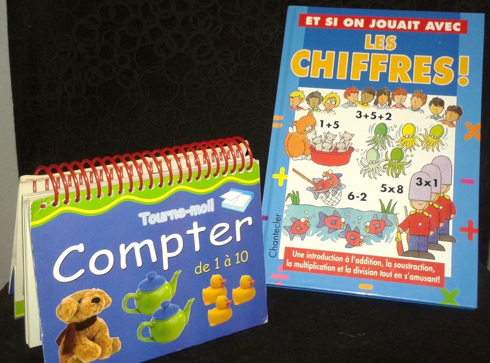 2 Livres Educatifs  Pour Compter  et  Les chiffres  8 Paris 19 (75)