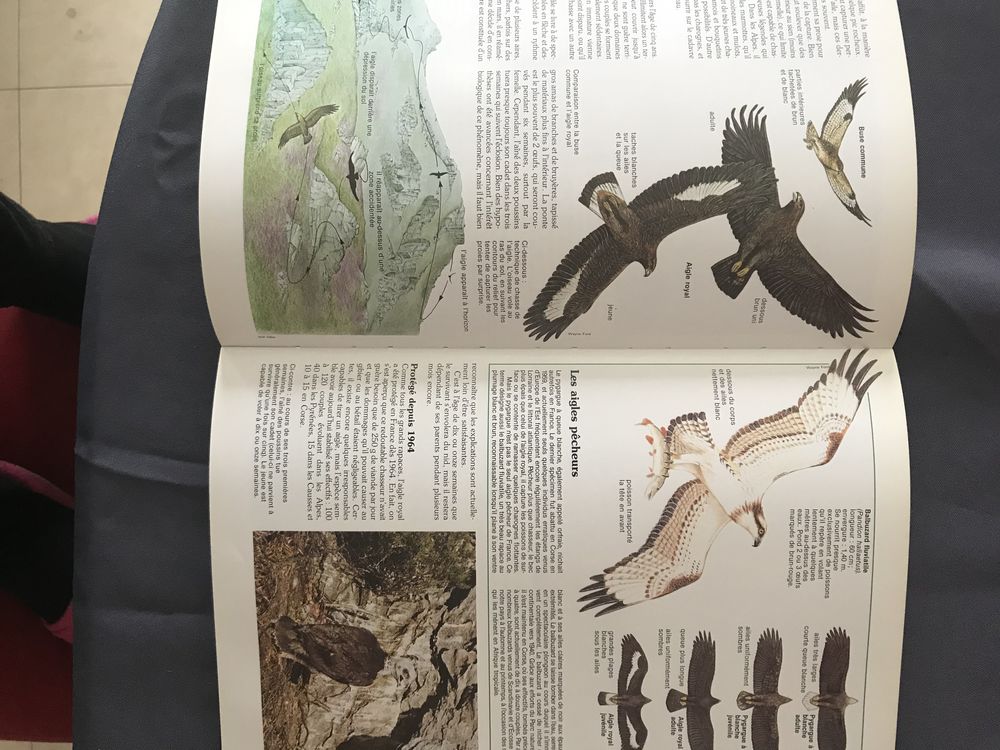 Livres Encyclop�die Cousteau 3 Gennevilliers (92)