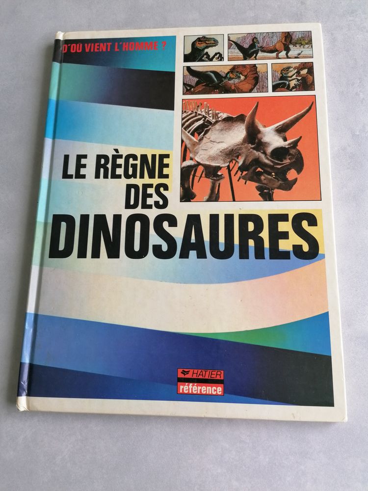 3 livres enfant Les dinosaures 12 Jury (57)
