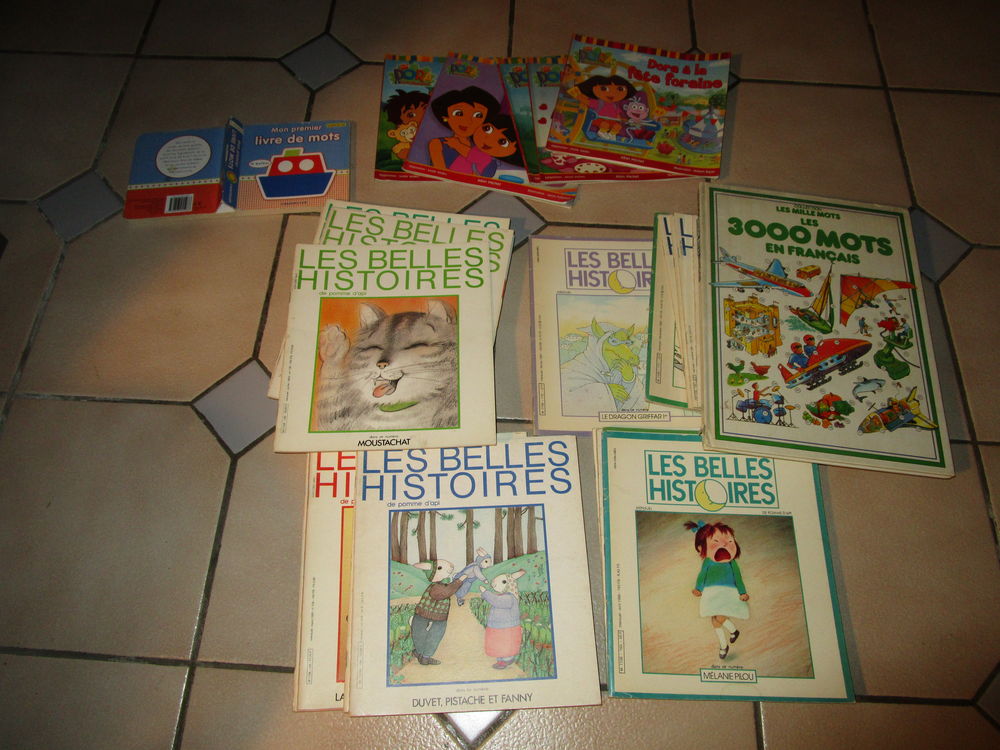 LOT LIVRES ENFANT DORA- LES HISTOIRES 14 Villepinte (93)