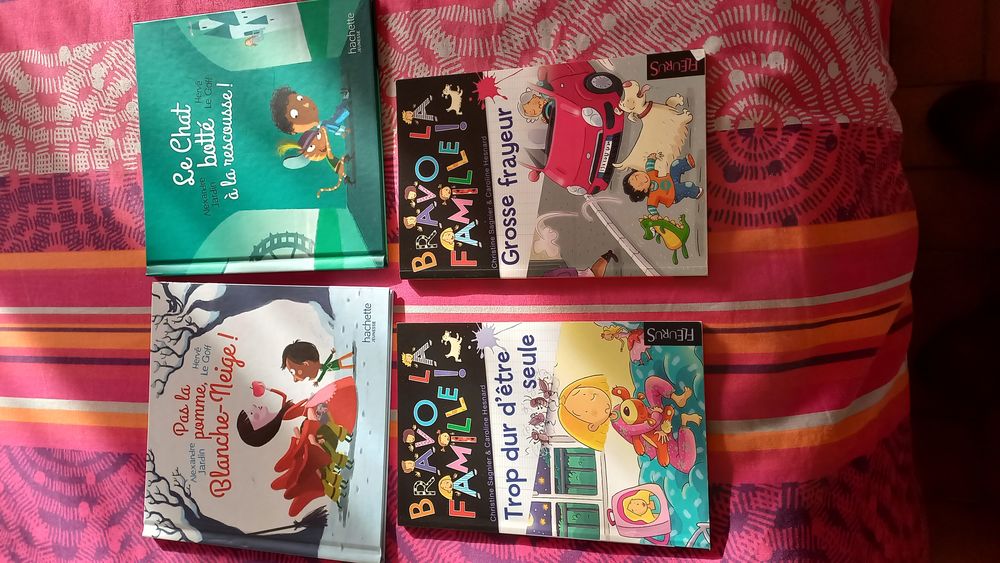 LIVRES ENFANTS 2 Al�s (30)