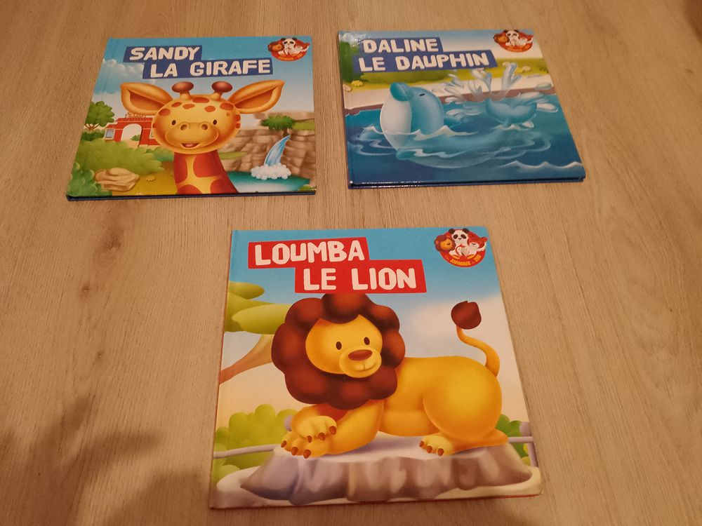 livres enfants 1 Locmariaquer (56)