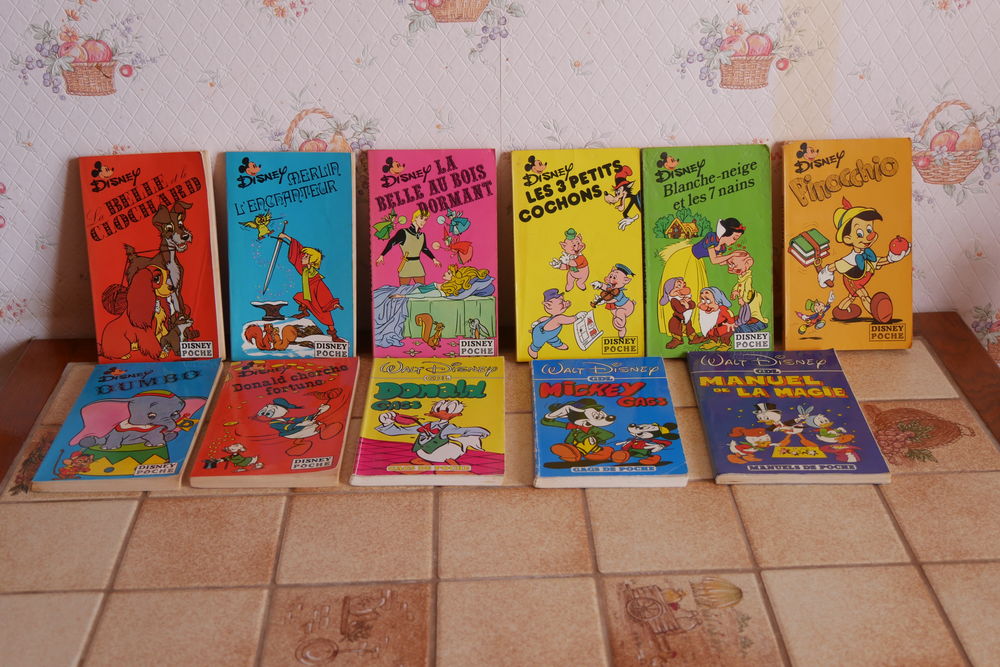 livres enfants 10 Montlu�on (03)