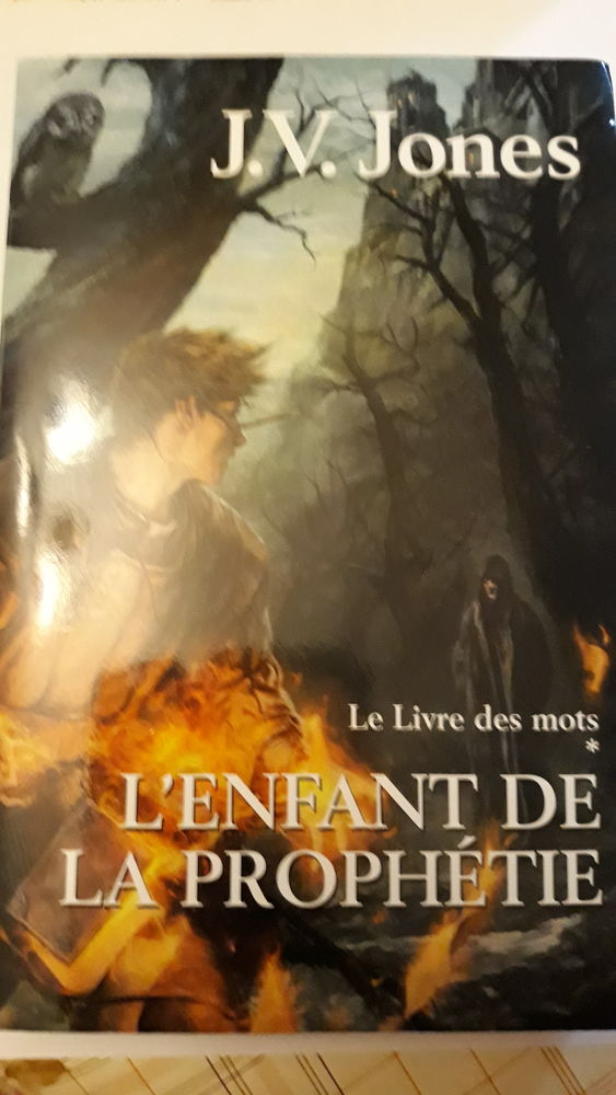  livres Fantazy 
1 Pessac (33)