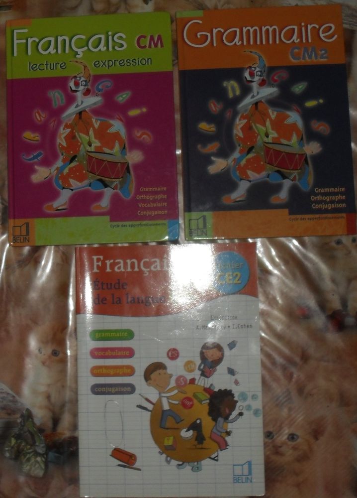 3 livres de Fran�ais NEUFS Belin cycle3. 24 Montreuil (93)