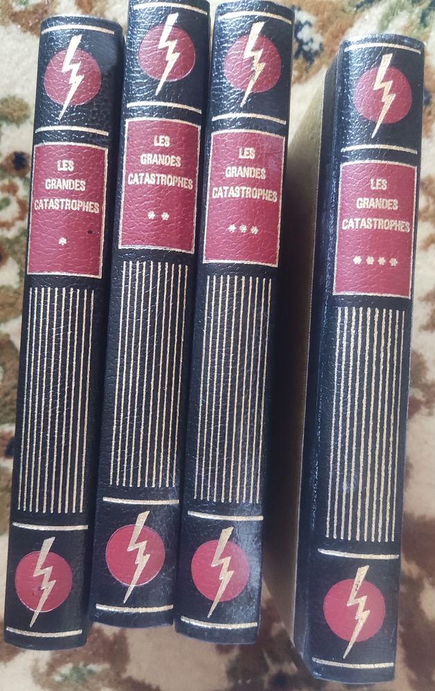 Livres Les grandes catastrophes 15 Mably (42)