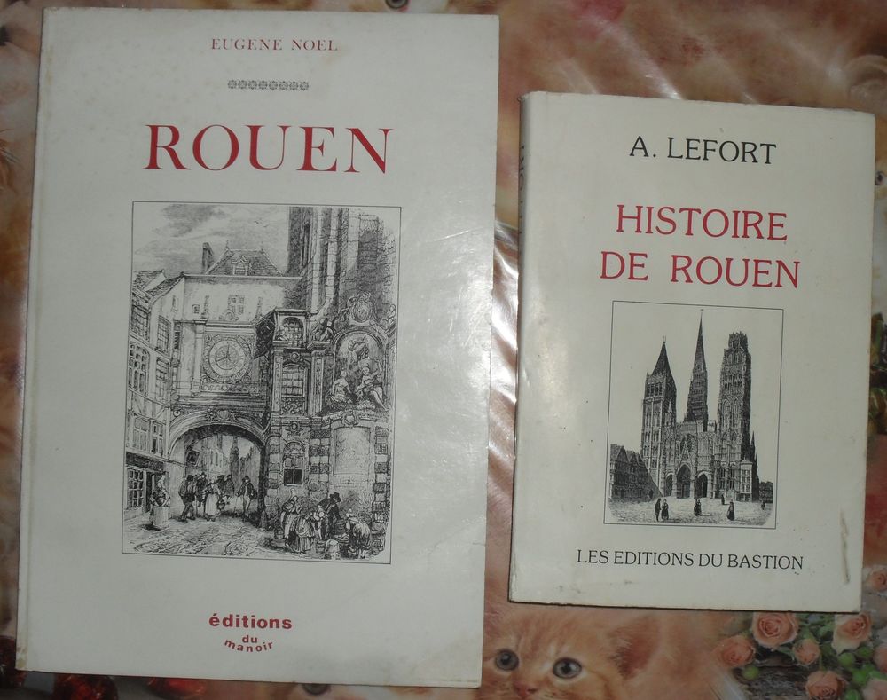 2 Livres sur l'Histoire de ROUEN en tr�s bon �tat. 35 Montreuil (93)
