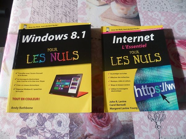 LivreS informatique Les nuls ordi internet Windows 29 F�ves (57)