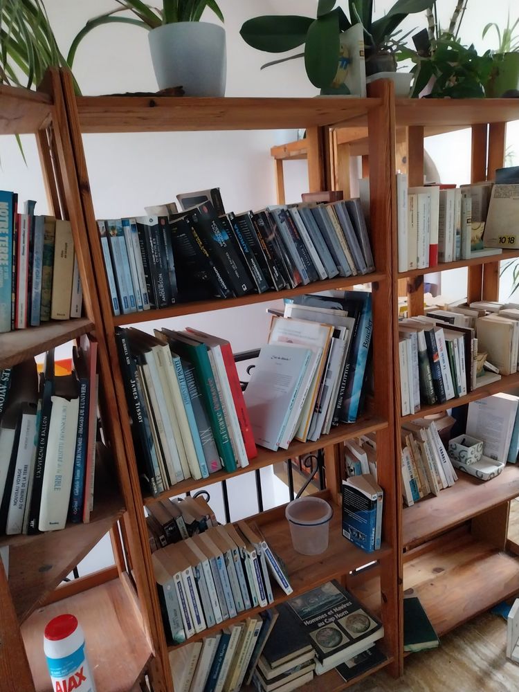 livres � lire.livres sur la peinture d'art. 10 Palaiseau (91)