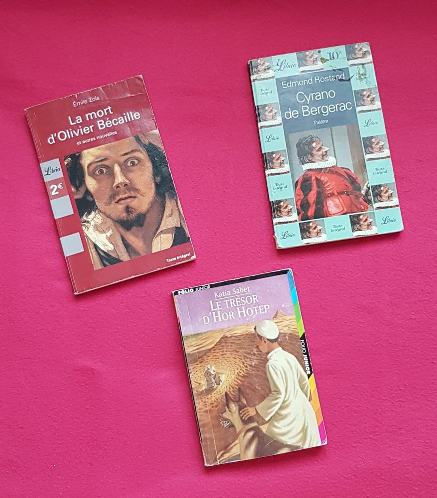 Lot de 3 livres de litt�rature fran�aise 2 Dommiers (02)
