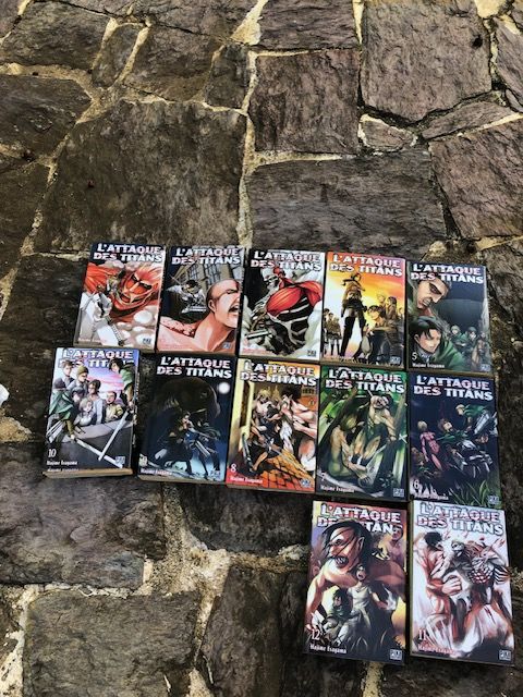 de livres Mangas 85 Le Gosier (97)