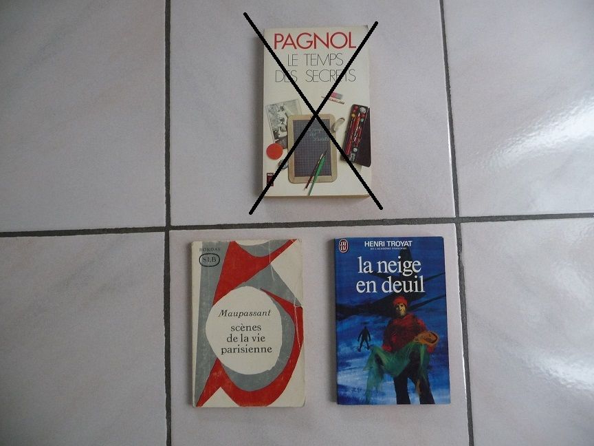 2 Livres MAUPASSANT et TROYAT 4 Celles-sur-Belle (79)