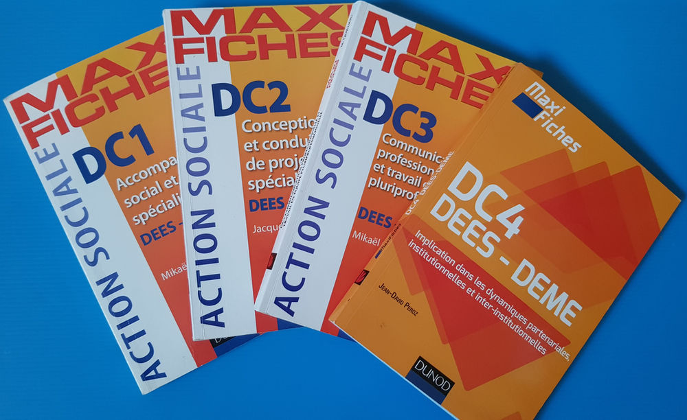 LIVRES MAXI FICHES ACTION SOCIALE DEES-DEME 10 Custines (54)