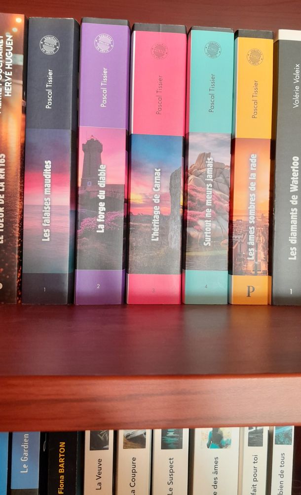 Lot de 5 livres PASCAL TISSIER (POLICIERS/THRILLERS) 12 Dinan (22)