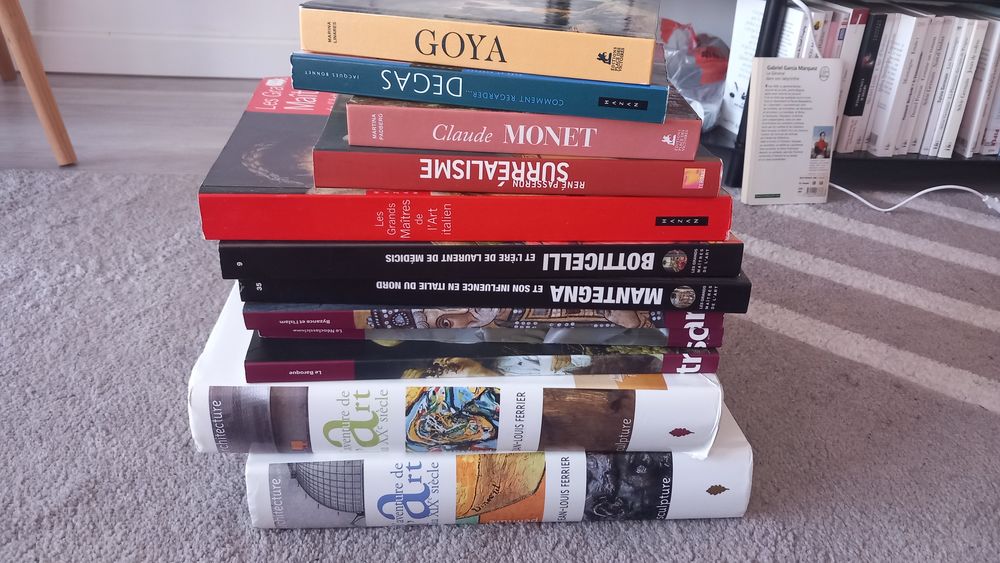 lot de livres sur l'art (peinture essentiellement) 45 Bouxi�res-aux-Ch�nes (54)