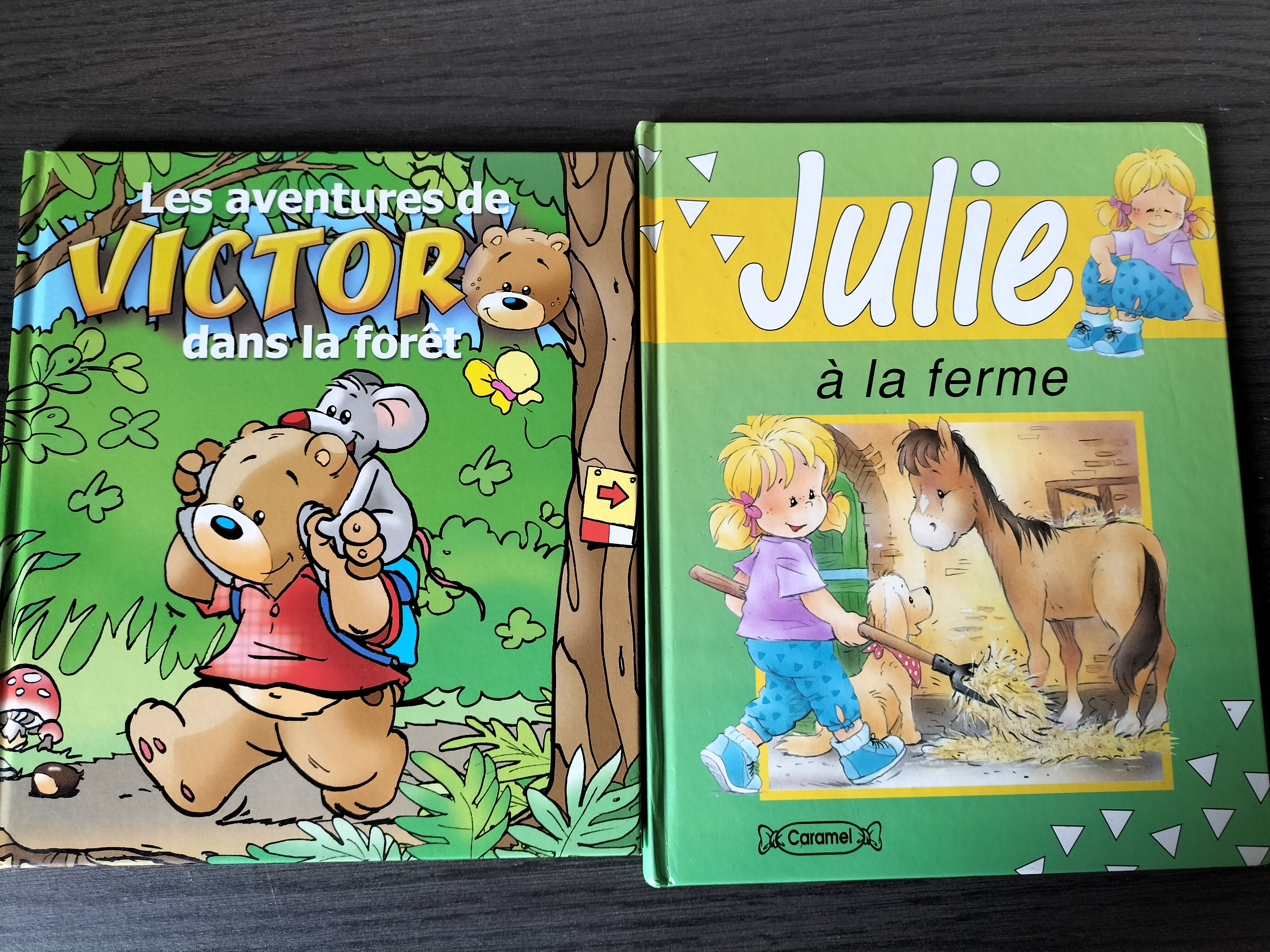 Livres de poche enfants 1 Satillieu (07)