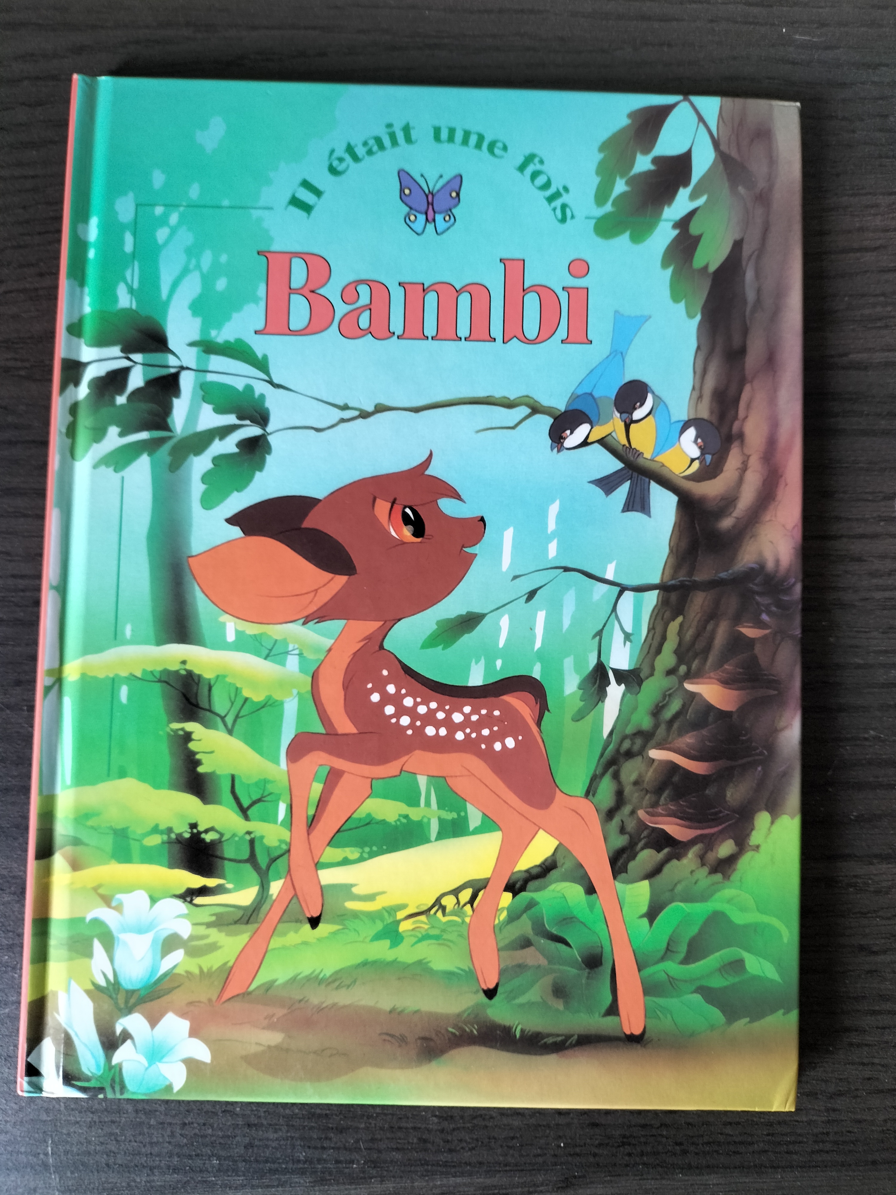 Livres de poche enfants 1 Satillieu (07)